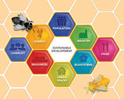 principles of sustainable development