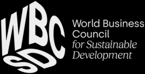 Driving Sustainability: The Role of the World Business Council for Sustainable Development