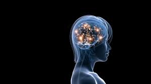 Unveiling the Intricacies of Human Intelligence
