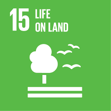 Advancing the United Nations Sustainable Development Goals: A Global Call to Action
