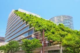 Building Green: Constructing a Sustainable Future