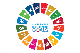 Advancing Global Sustainability: The Significance of SDG Goals