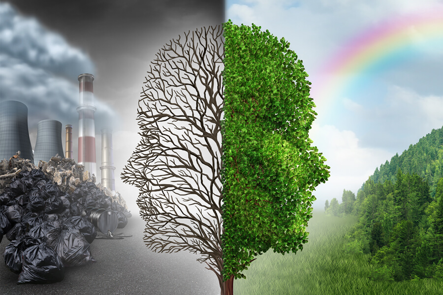 Balancing Environment and Sustainability for a Greener Future