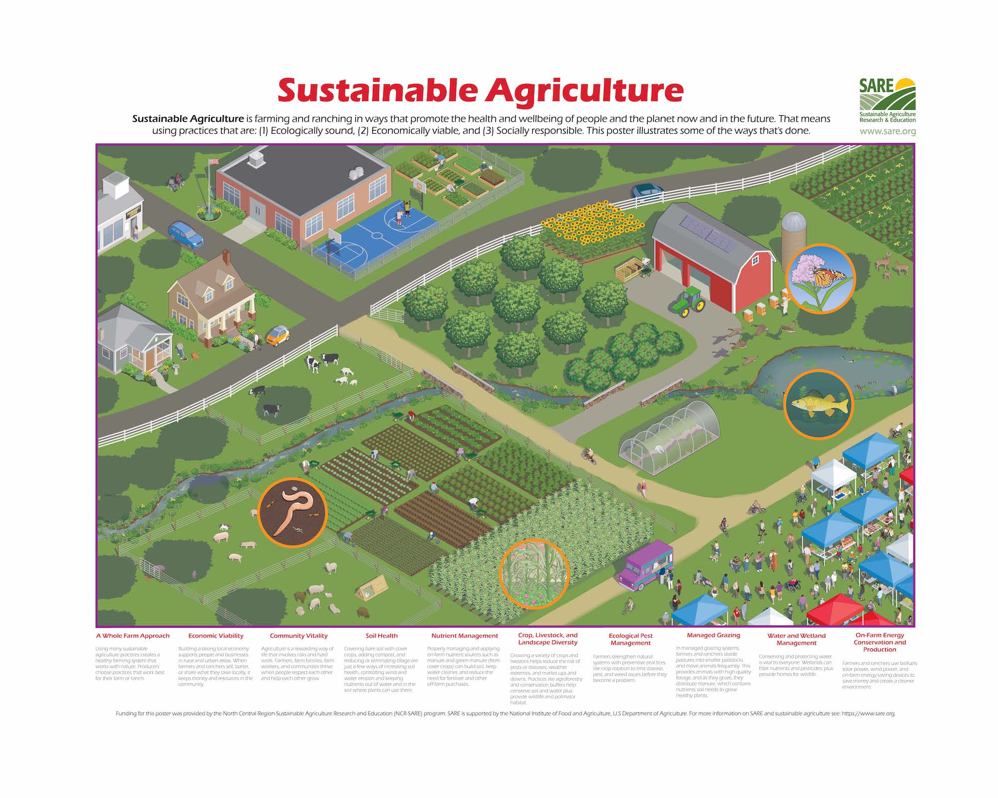 Embracing the Future: The Vital Role of Sustainable Agriculture