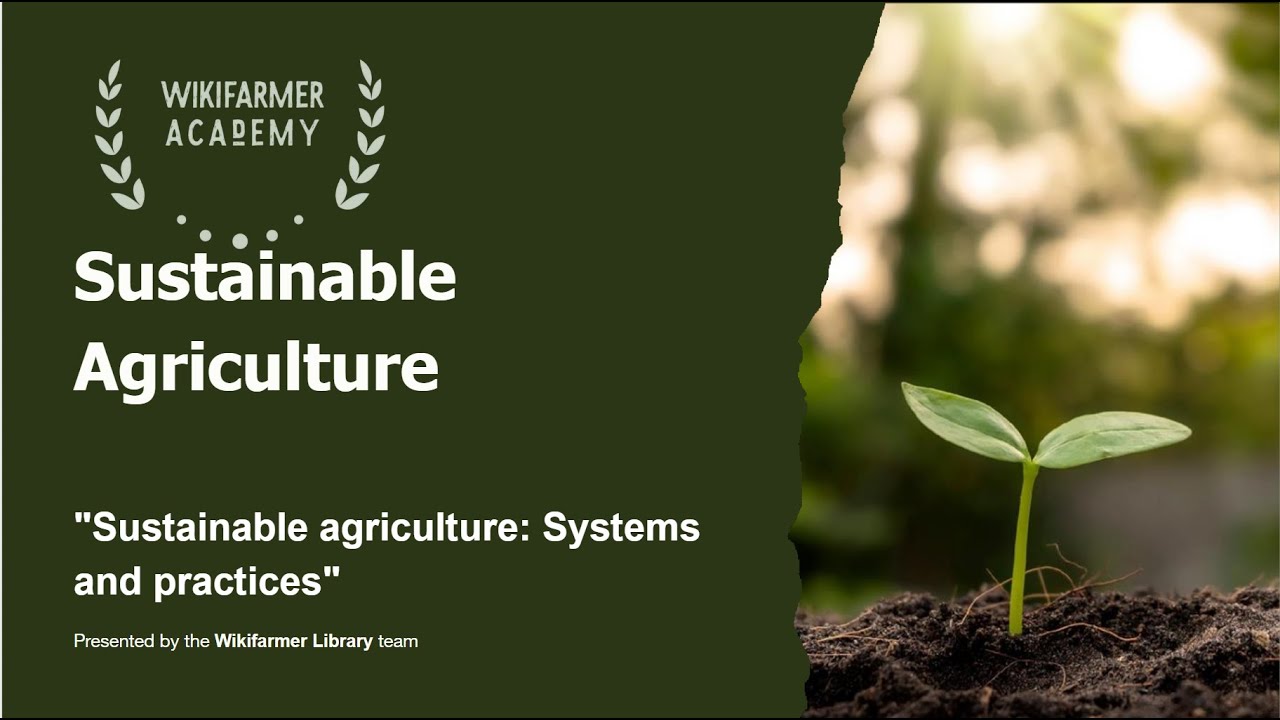 Embracing Sustainable Agriculture Practices for a Greener Future