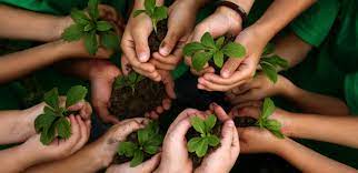 environmental stewardship