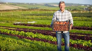 sustainable farming