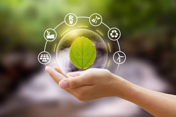 business and sustainability