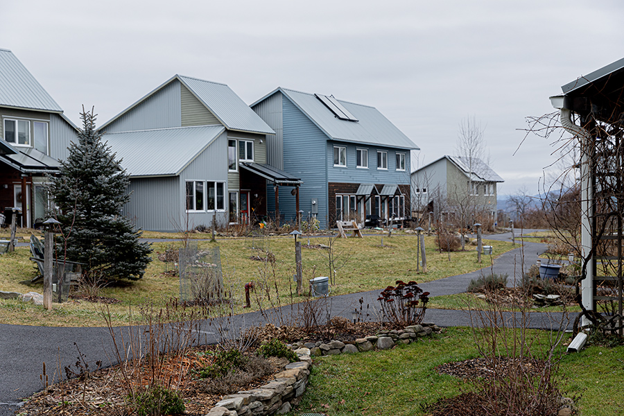 Embracing Sustainability: The Eco Community Movement